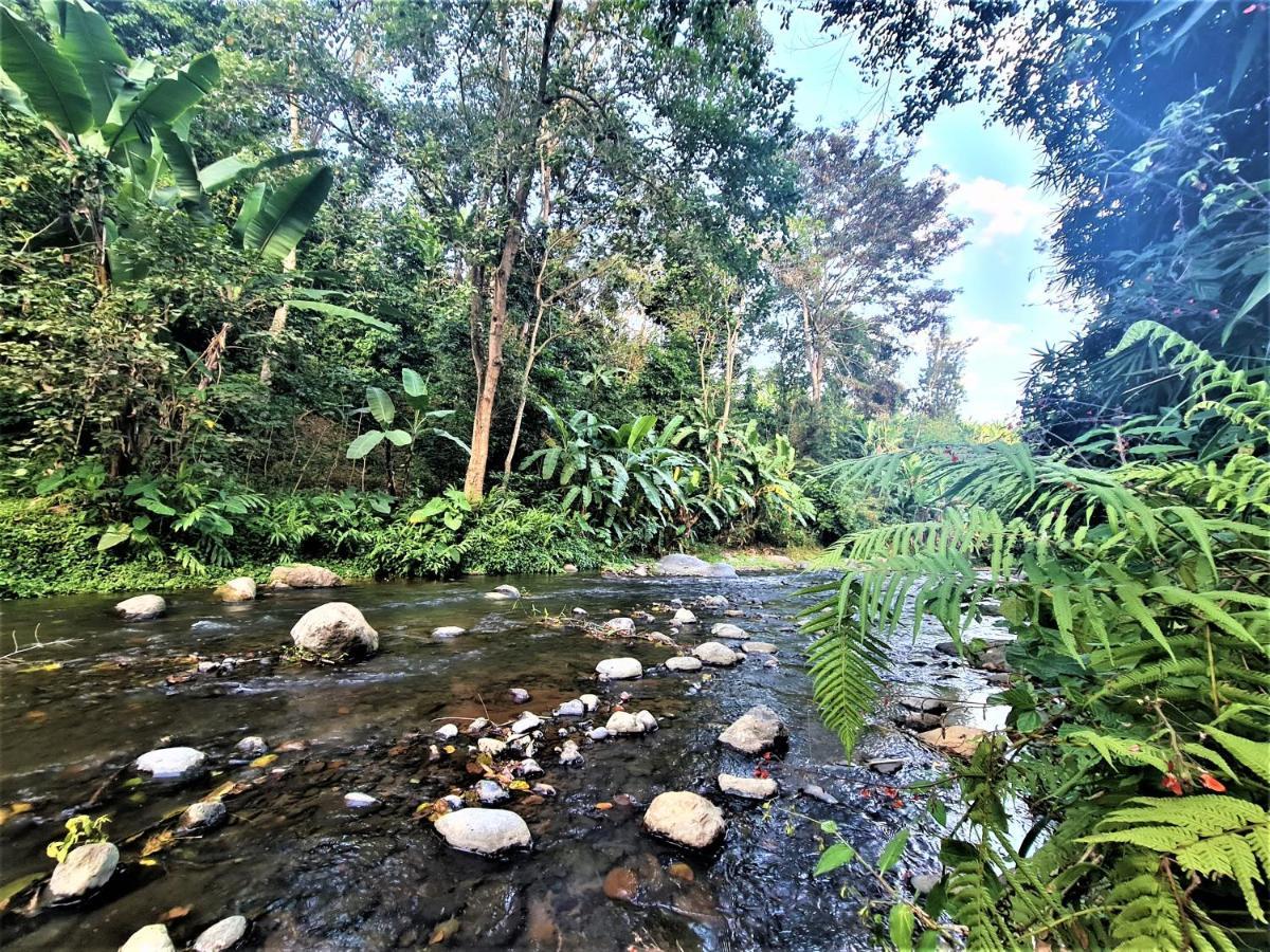 Holiday Cottage By The River, Arusha Exterior foto